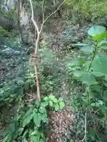 鳴滝奥の院(徳島県)