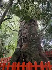 新田神社(鹿児島県)