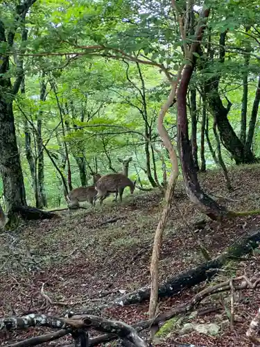 弥山神社（天河大辨財天社奥宮）(奈良県)