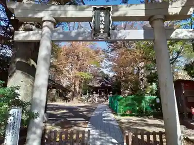 亀岡八幡宮（亀岡八幡神社）の鳥居