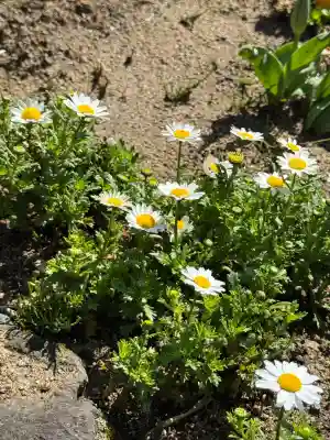 大鏑神社の{uncategorized: "未分類", other: "その他", undefined: "問題あり", building: "その他建物", grave: "お墓", sacred_gate: "鳥居", guardian: "狛犬", statue: "像", buddha: "仏像", history: "歴史", nature: "自然", garden: "庭園", animal: "動物", pagoda: "塔", temizu: "手水舎", mountain_gate: "山門・神門", sanctuary: "本殿・本堂", subordinate: "末社・摂社", art: "芸術", scenery: "景色", jizo: "地蔵", ema: "絵馬", goshuin: "御朱印", omikuji: "おみくじ", items: "授与品その他", amulet: "お守り", goshuincho: "御朱印帳", eats: "食事", festival: "お祭り", votive_dance: "神楽", shichigosan: "七五三参", wedding: "結婚式", experience: "体験その他", initially: "初詣", around: "周辺", anti_infection: "感染症対策"}