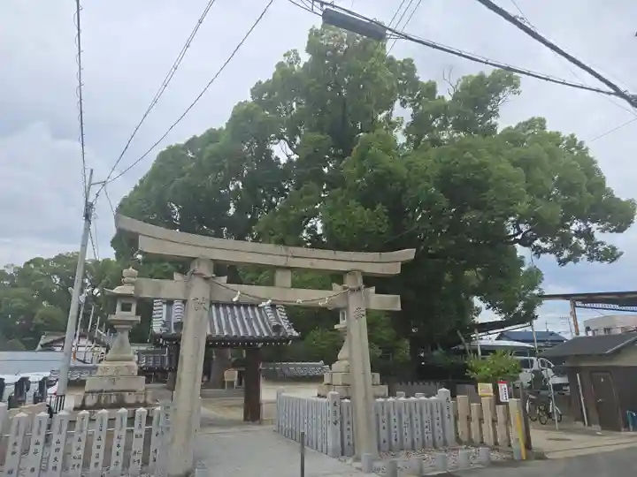 阿麻美許曽神社(大阪府)