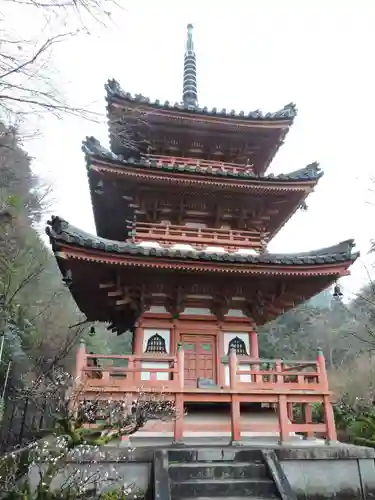 三室戸寺(京都府)