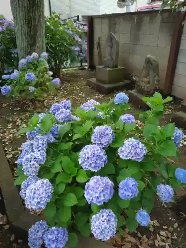本郷氷川神社(東京都)