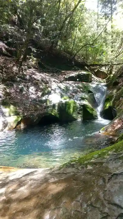 龍鎮神社の自然