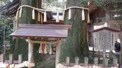 天岩戸神社(宮崎県)