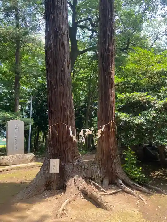 東蕗田天満社(茨城県)