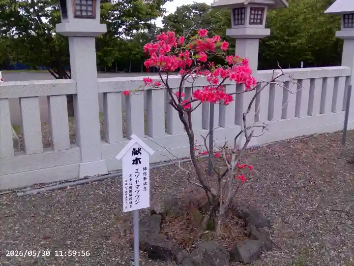 樽前山神社(北海道)