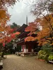 浄瑠璃寺の建物その他