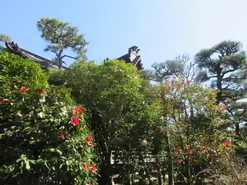 大巧寺の景色