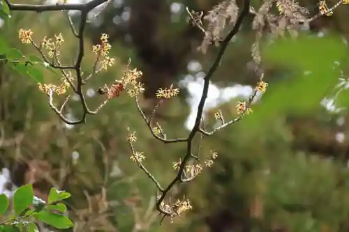 豊景神社の自然