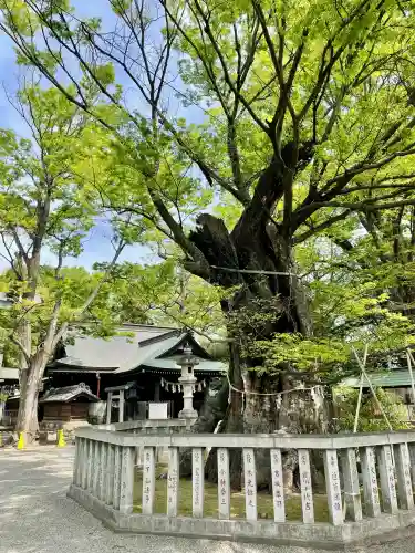 高城神社の{uncategorized: "未分類", other: "その他", undefined: "問題あり", building: "その他建物", grave: "お墓", sacred_gate: "鳥居", guardian: "狛犬", statue: "像", buddha: "仏像", history: "歴史", nature: "自然", garden: "庭園", animal: "動物", pagoda: "塔", temizu: "手水舎", mountain_gate: "山門・神門", sanctuary: "本殿・本堂", subordinate: "末社・摂社", art: "芸術", scenery: "景色", jizo: "地蔵", ema: "絵馬", goshuin: "御朱印", omikuji: "おみくじ", items: "授与品その他", amulet: "お守り", goshuincho: "御朱印帳", eats: "食事", festival: "お祭り", votive_dance: "神楽", shichigosan: "七五三参", wedding: "結婚式", experience: "体験その他", initially: "初詣", around: "周辺", anti_infection: "感染症対策"}