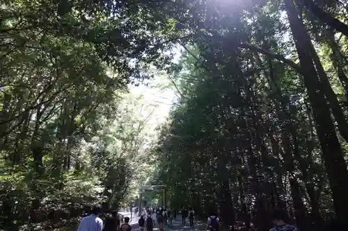 伊勢神宮内宮（皇大神宮）の自然