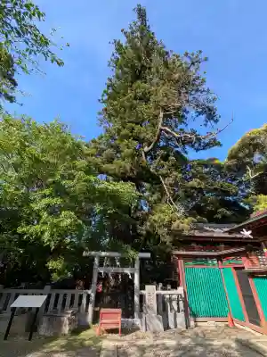 大杉神社 境内社 勝馬神社の{uncategorized: "未分類", other: "その他", undefined: "問題あり", building: "その他建物", grave: "お墓", sacred_gate: "鳥居", guardian: "狛犬", statue: "像", buddha: "仏像", history: "歴史", nature: "自然", garden: "庭園", animal: "動物", pagoda: "塔", temizu: "手水舎", mountain_gate: "山門・神門", sanctuary: "本殿・本堂", subordinate: "末社・摂社", art: "芸術", scenery: "景色", jizo: "地蔵", ema: "絵馬", goshuin: "御朱印", omikuji: "おみくじ", items: "授与品その他", amulet: "お守り", goshuincho: "御朱印帳", eats: "食事", festival: "お祭り", votive_dance: "神楽", shichigosan: "七五三参", wedding: "結婚式", experience: "体験その他", initially: "初詣", around: "周辺", anti_infection: "感染症対策"}
