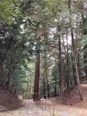 元伊勢内宮 皇大神社(京都府)