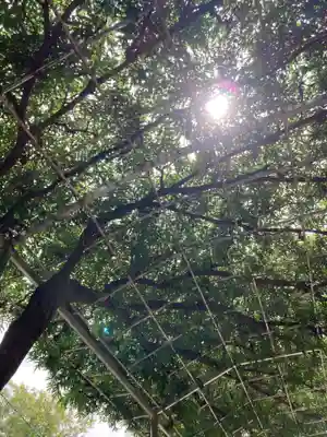 足利織姫神社(栃木県)