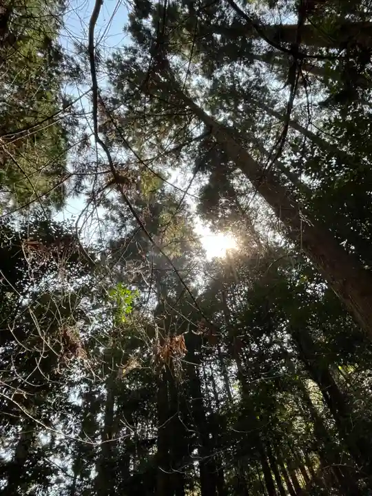 猿田彦三河神社(愛知県)