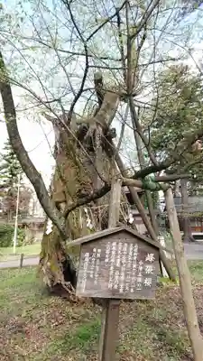 蠶養國神社のその他建物