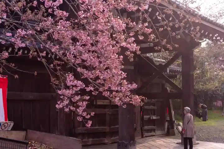 平野神社(京都府)