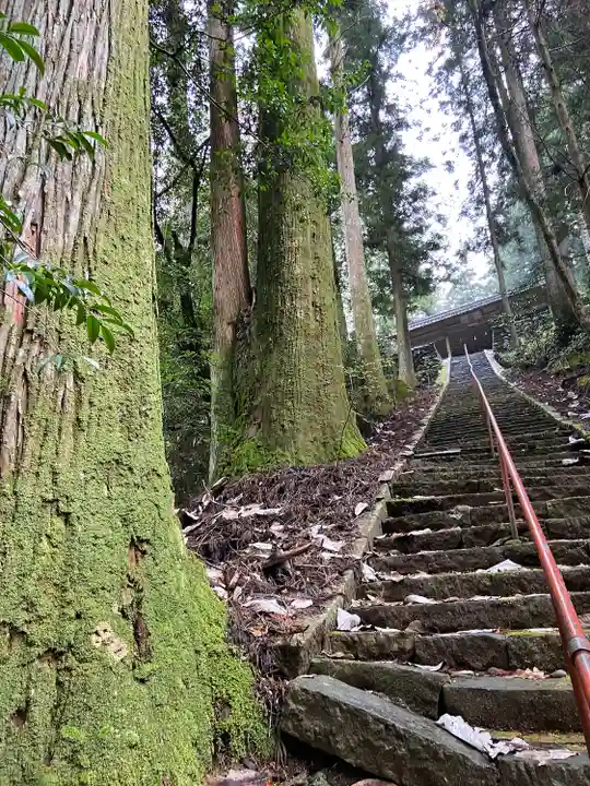 瀧神社(岐阜県)