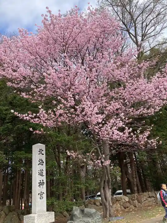 北海道神宮の自然