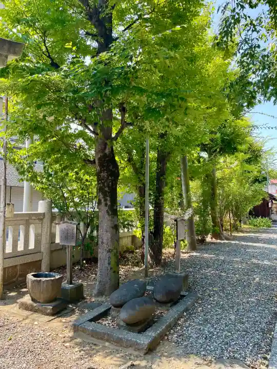 橘樹神社(神奈川県)