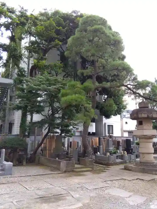 髙福院(東京都)