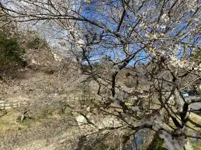 瑠璃光山薬師寺(愛知県)