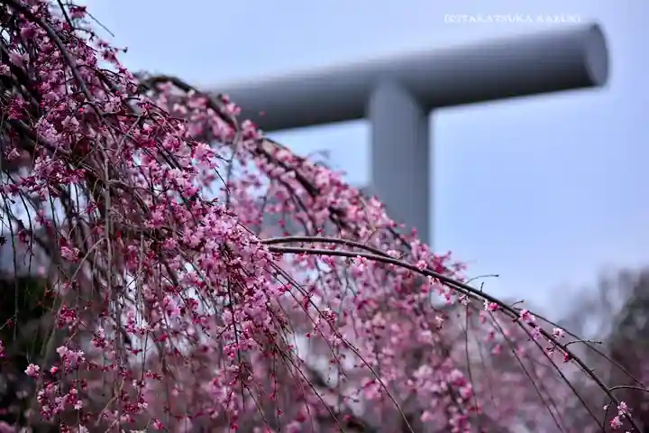櫻木神社(千葉県)