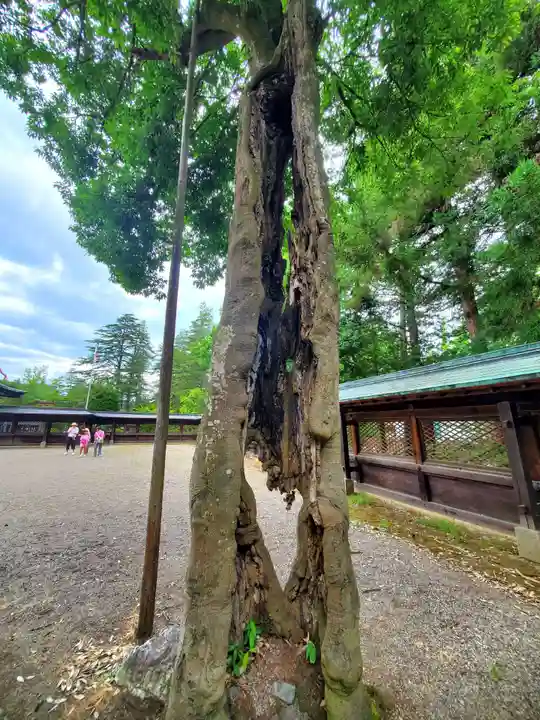上杉神社(山形県)