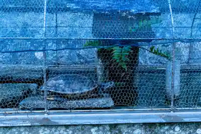 駒形神社(静岡県)
