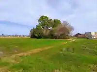 神明社(下一色)の自然