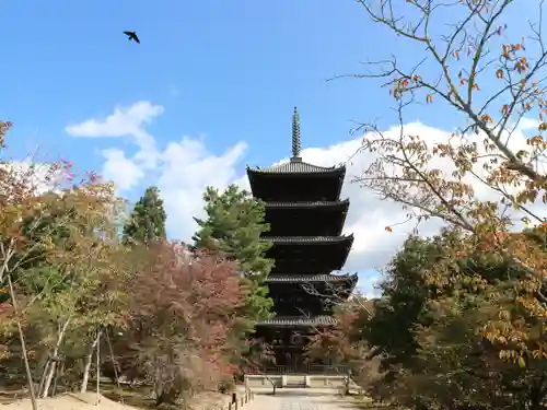 仁和寺の塔