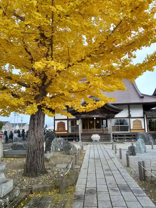 長泉寺の本殿・本堂