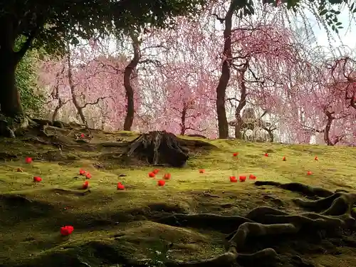 城南宮(京都府)