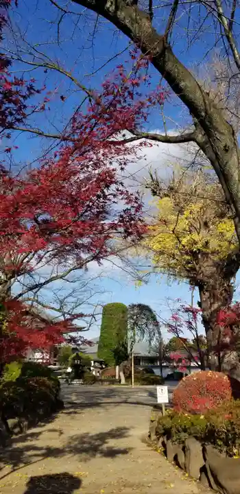 大勝院(千葉県)