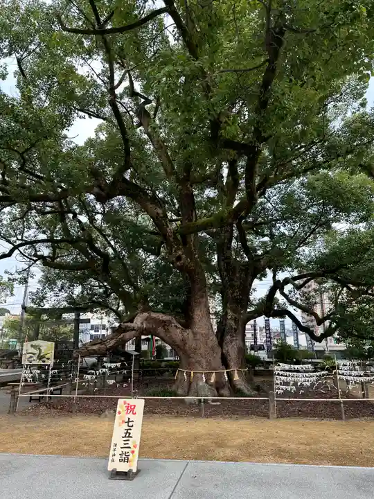 諫早神社(九州総守護 四面宮)(長崎県)