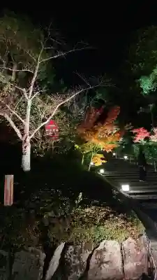 知恩院(京都府)