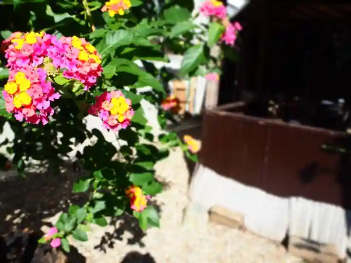 三輪神社の自然