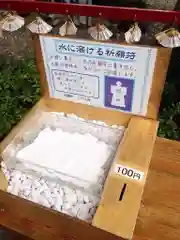 船魂神社の体験その他