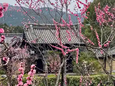 隨心院(随心院)のその他建物
