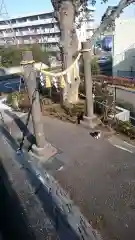 星川杉山神社の鳥居