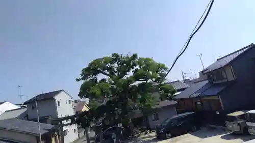 櫟谷七野神社(京都府)