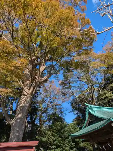 酒門神社の御朱印