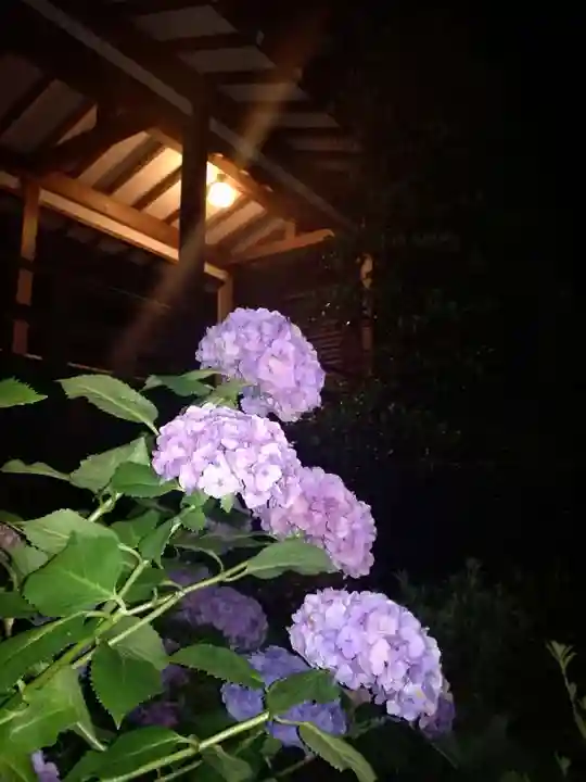 楽法寺(雨引観音)の自然
