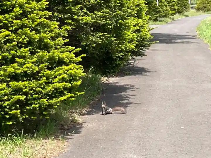 澄丘神社(北海道)
