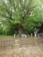 新田白山神社(愛知県)