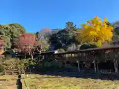 本土寺(千葉県)