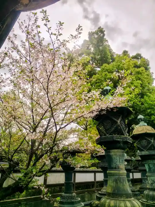 上野東照宮の{uncategorized: "未分類", other: "その他", undefined: "問題あり", building: "その他建物", grave: "お墓", sacred_gate: "鳥居", guardian: "狛犬", statue: "像", buddha: "仏像", history: "歴史", nature: "自然", garden: "庭園", animal: "動物", pagoda: "塔", temizu: "手水舎", mountain_gate: "山門・神門", sanctuary: "本殿・本堂", subordinate: "末社・摂社", art: "芸術", scenery: "景色", jizo: "地蔵", ema: "絵馬", goshuin: "御朱印", omikuji: "おみくじ", items: "授与品その他", amulet: "お守り", goshuincho: "御朱印帳", eats: "食事", festival: "お祭り", votive_dance: "神楽", shichigosan: "七五三参", wedding: "結婚式", experience: "体験その他", initially: "初詣", around: "周辺", anti_infection: "感染症対策"}