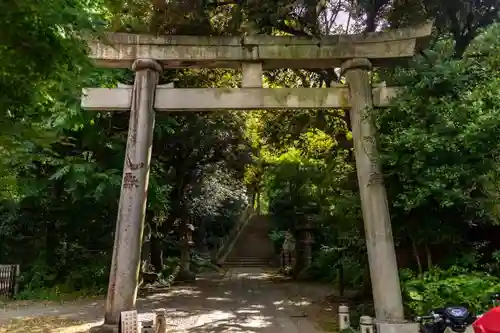 赤坂氷川神社の鳥居